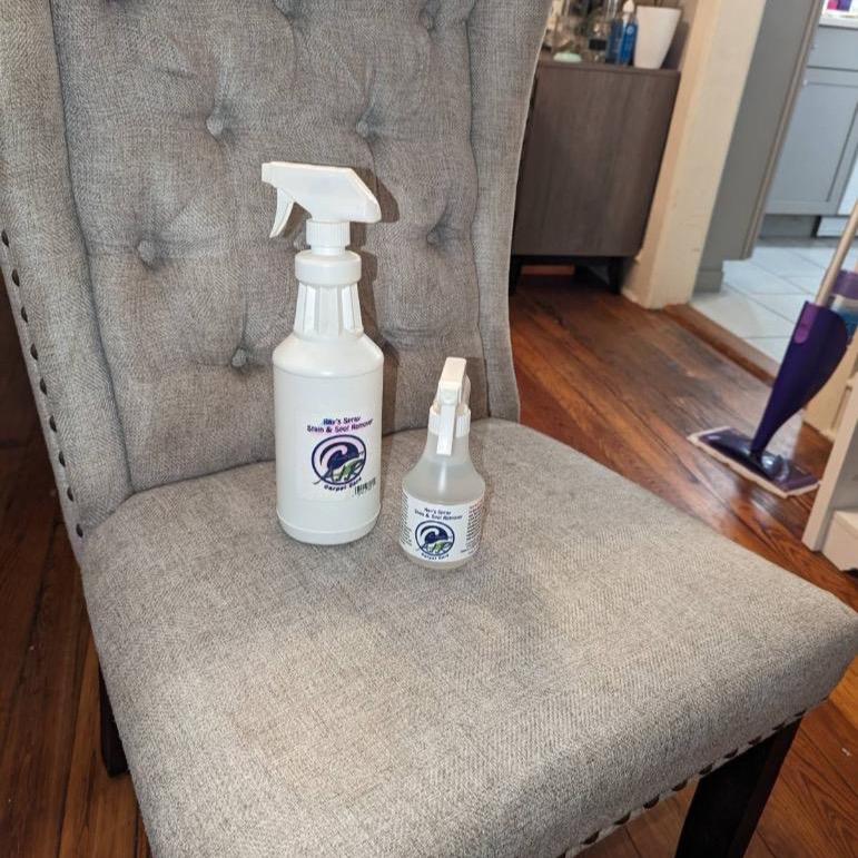 Ray Spray Stain & Spot Remover