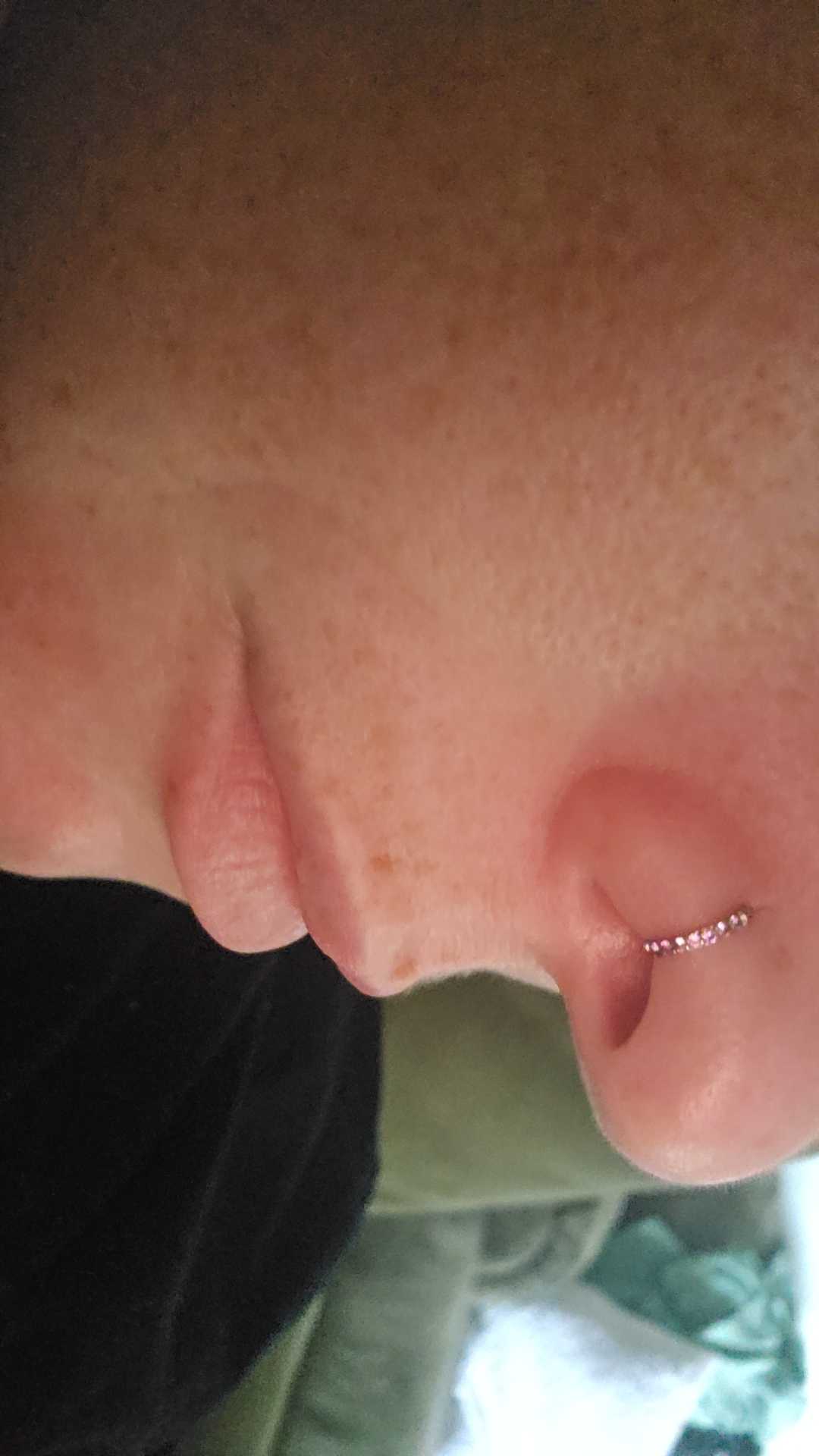 OUFER 20G Micro Gem CZ Hinged Nose Nostril Piercing Hoop Ring 316L Stainless Steel Body Jewelry Black Purple Pink Green Blue Inner Diameter 5mm-12mm Artificial Zircon