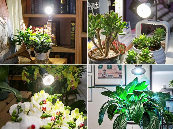 SANSI Dimmable Grow Light Bulb, Full Spectrum with Remote Control, Auto On Off Timing 4 8 12 Hrs, 10W PAR20 (150 Watt Equiv) Grow Lamp with Optical Lens for High PPFD, Energy Saving for Indoor Plants