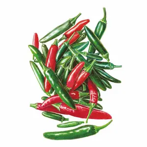 Serrano Chile Pepper Seeds Serrano Chile Pepper Seeds