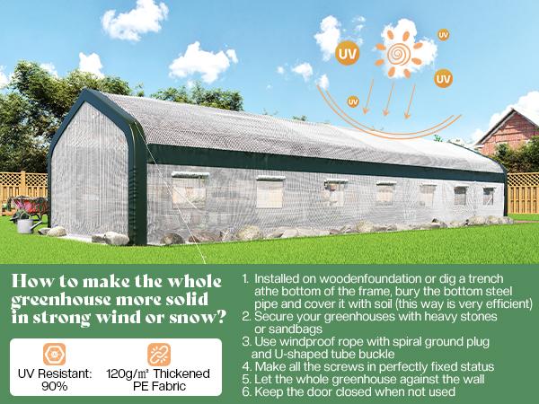 AMERLIFE Tunnel Greenhouse for Outdoors, Heavy Duty Greenhouse kit with Galvanized Steel Frame, Upgraded Swing Door & Premium PE Cover