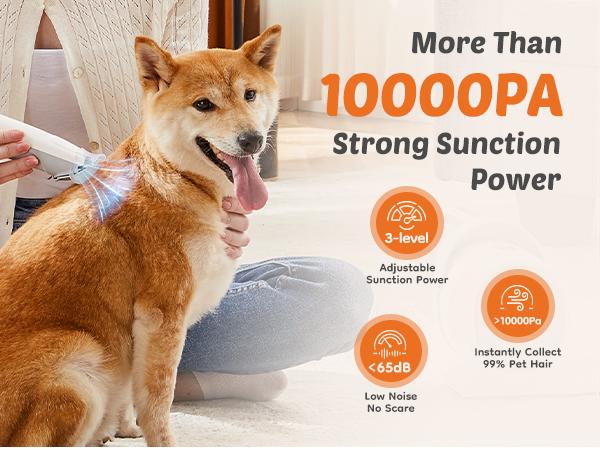 Professional Pet Grooming Vacuum Kit with Cordless Low Noise Dog Clippers and 5 Groomer Tools for Cats and Dogs