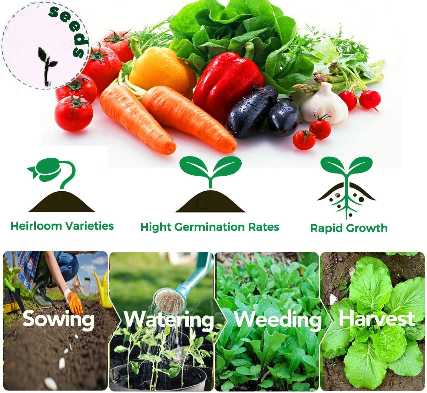 30 Kind of Vegetable Seeds Variety Pack  Non-GMO Heirloom Seeds for Planting Vegetables and Fruits in Individual Seed Packets, Home Garden Seed for Hydroponic, Indoor and Outdoors