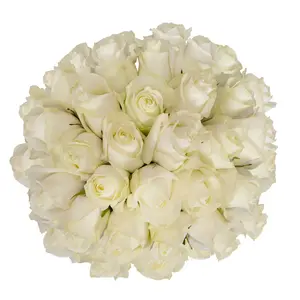 White Roses - Choose from 25 to 200 Stems