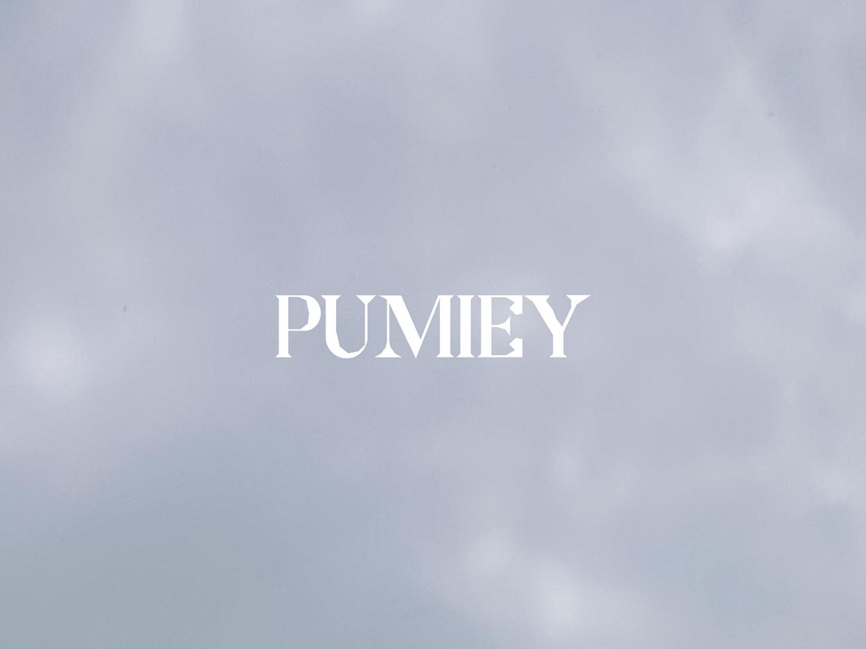 PUMIEY Women's Square Neck Tank Top Adjustable Spaghetti Straps Sleeveless Basic Tops Sharp Collection tankair tanktop Womenswear Tube Minimalist Comfort Short Lady Underwear Casual Slim Elastic Waist Cami