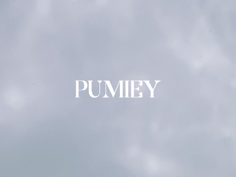 PUMIEY Women's Square Neck Tank Top Adjustable Spaghetti Straps Sleeveless Basic Tops Sharp Collection tankair tanktop Womenswear Tube Minimalist Comfort Short Lady Underwear Casual Slim Elastic Waist Cami TikTokShopHolidayHaul