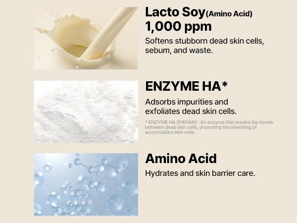 LACTO SOY ENZYME DEEP CLEANSING FOAM [100ml] - Enzyme foam for deep, gentle pore cleanse & sunscreen removal - Korean Skincare Facial Cleanser Foaming Cleanser