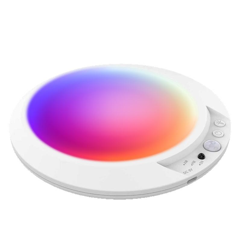 Rechargeable Motion Sensor Ceiling Light with Remote - Magnetic Wireless Ceiling Light Battery Powered for Closet Shower Stairs Shed Hallway Porch Patio ect