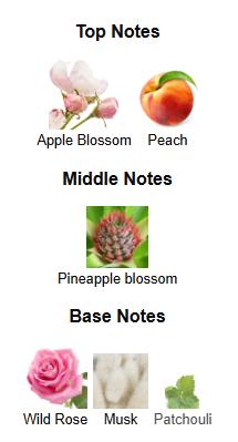 Ard Al Zaafaran Ibdaa Gold for Women Eau de Parfum Spray, 3.4 Ounce