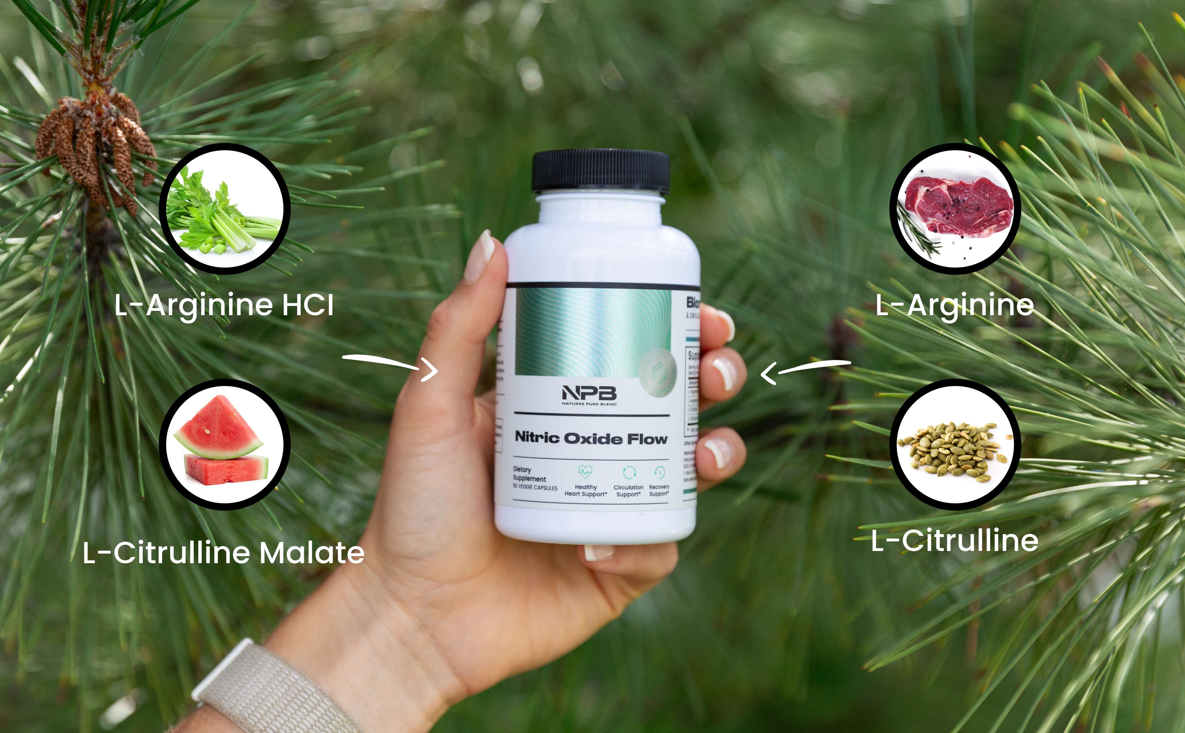 Nitric Oxide Flow - Blood Pressure Support, Supplement Edible, Dietary, Fitness, Blood Flow, Nitric Oxide Booster, Amino Acid, Recovery Support Cardiovascular Health