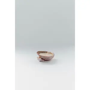 The Seashell Candle