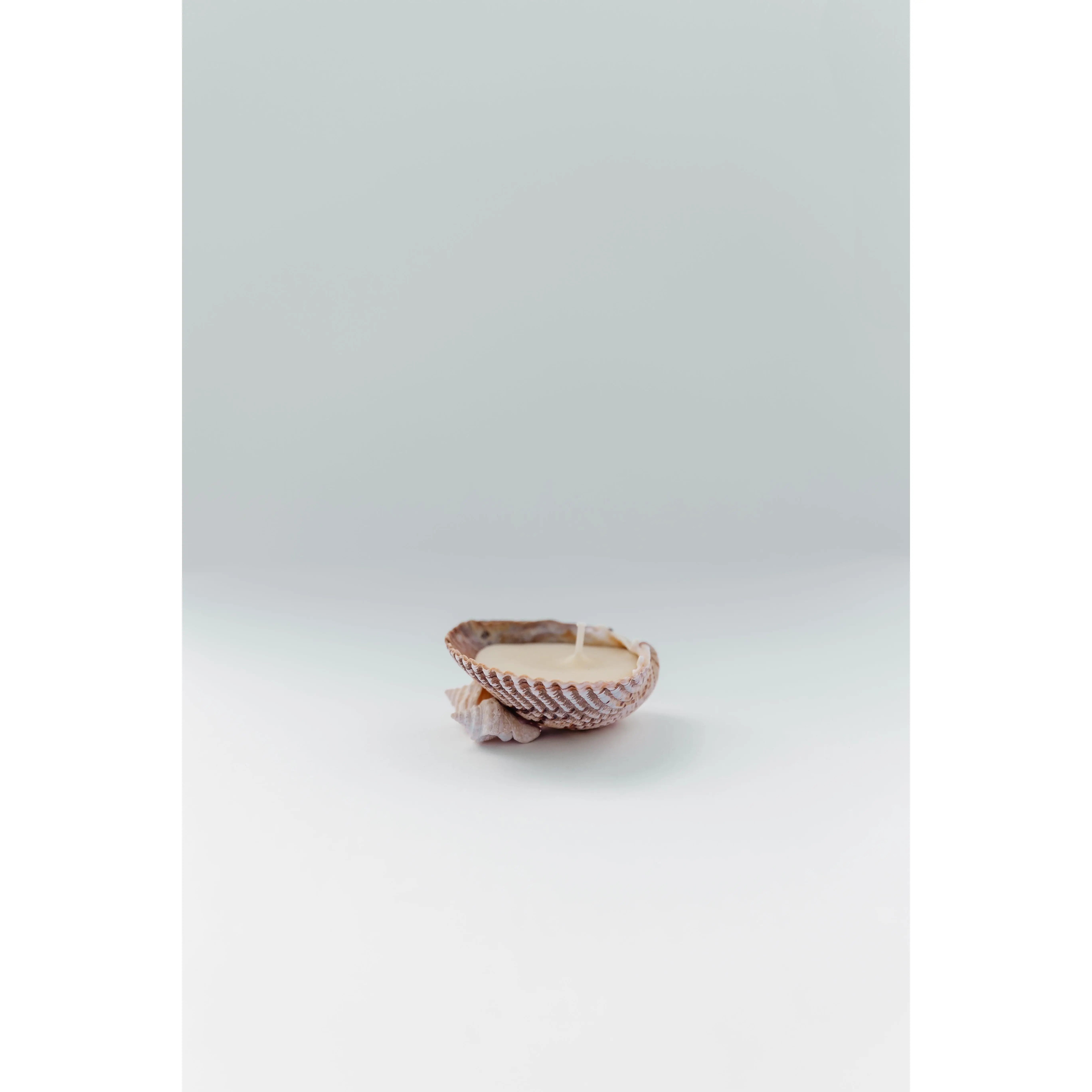 The Seashell Candle