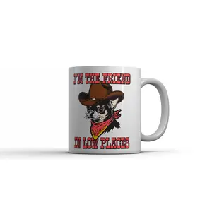 Im The Friend In Low Places Mug Funny Sarcastic Graphic Novelty Coffee Cup - 11oz Funny Coffee Mugs Ceramic Printed Drinkware Cup