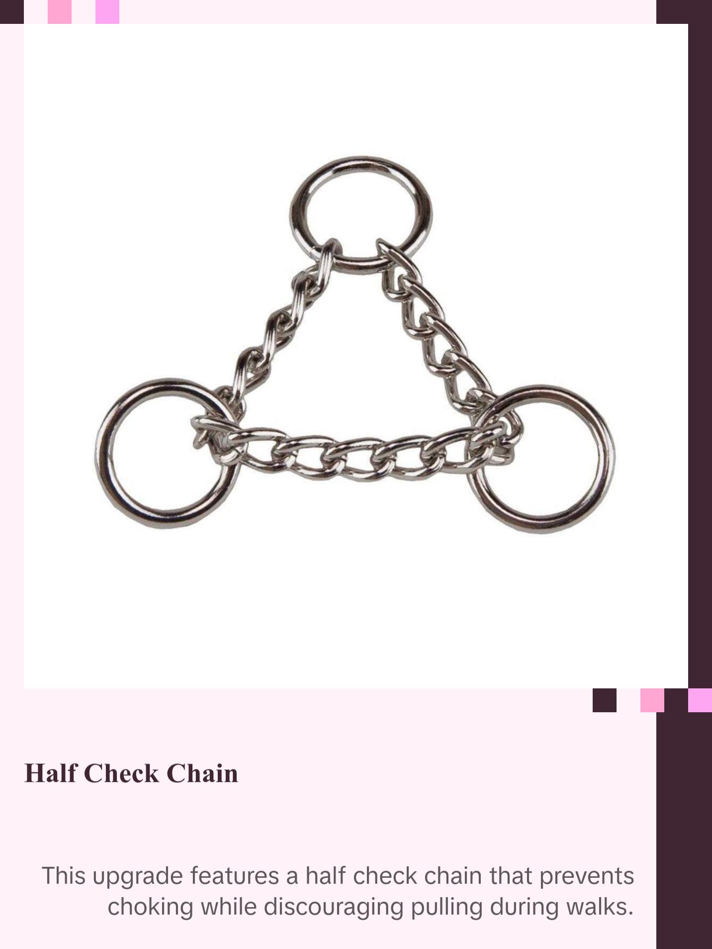 Martingale Collar Upgrade | Half Check Chain | Add on Only | Rainbow or Silver | Leash Training & Obedience | For Medium to Large Dogs