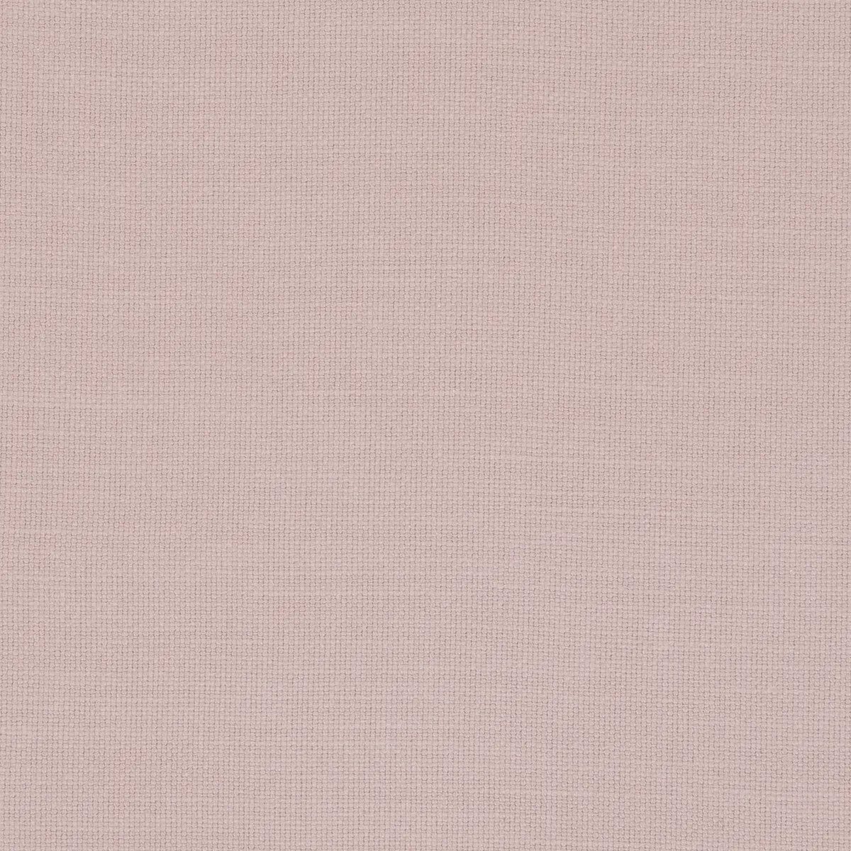 Nantucket - Rose  By Clarke And Clarke | Clarke & Clarke Nantucket |Solid Texture Multipurpose Cotton