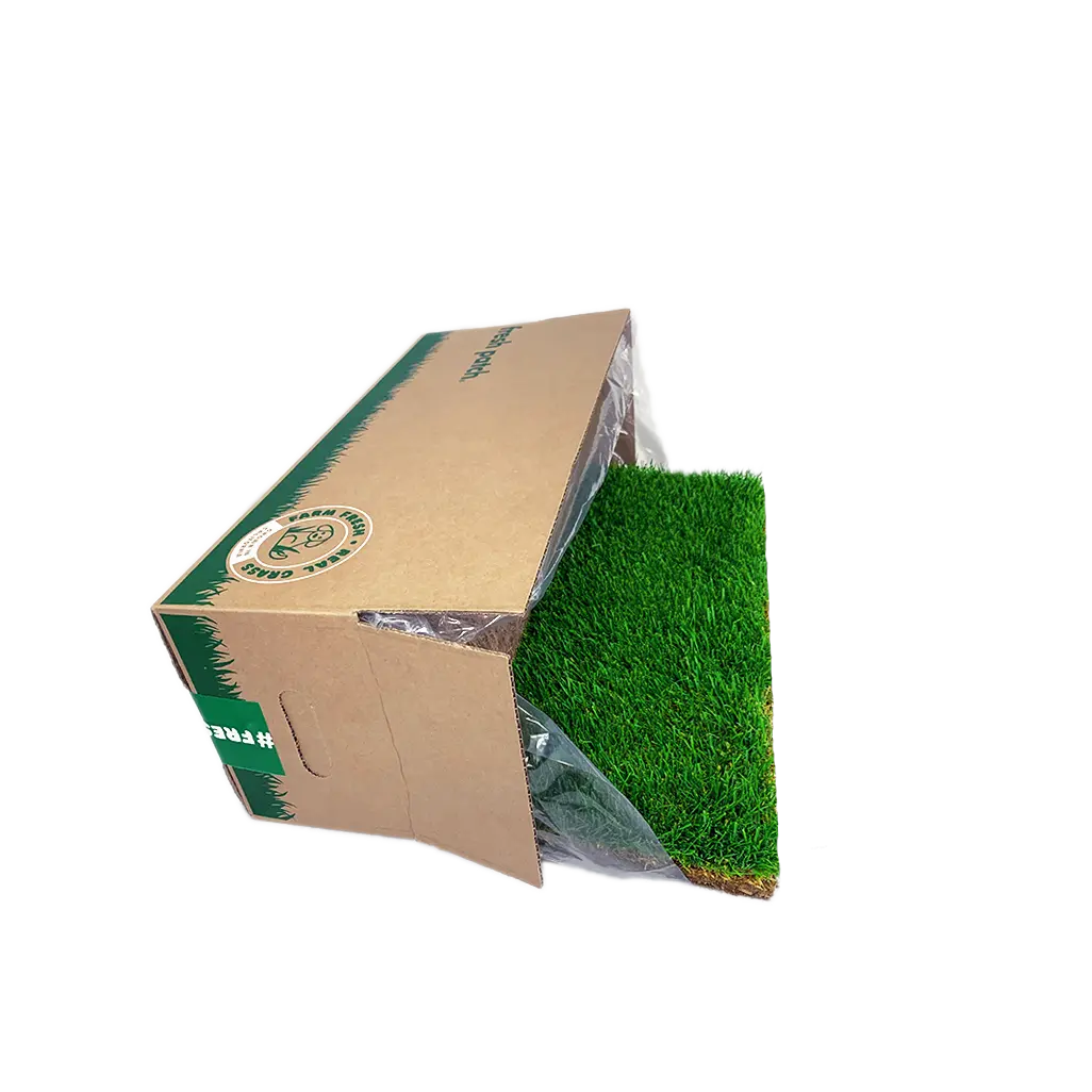 Fresh Patch Large (Rolled)