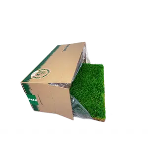 Fresh Patch Large (Rolled)