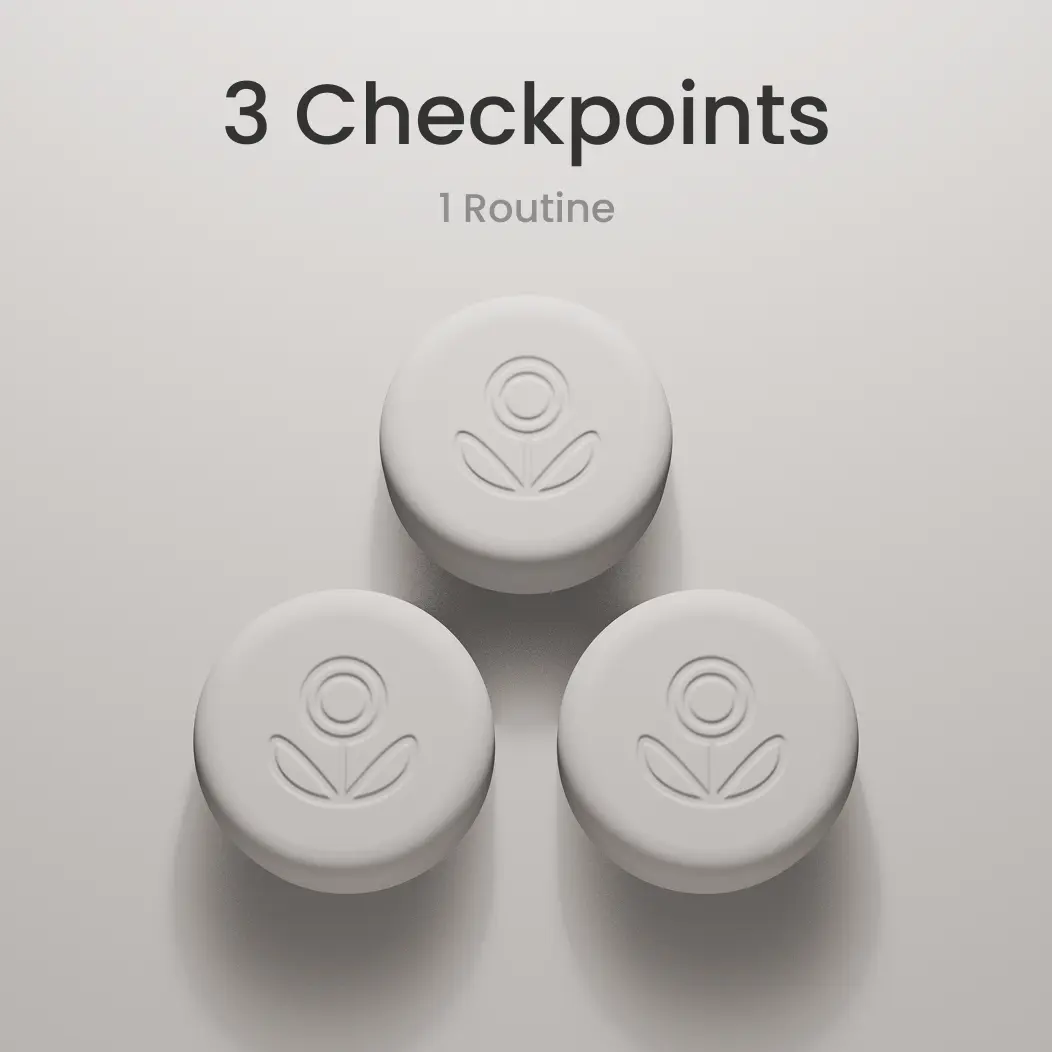 Pokito Checkpoints Starter Pack - Accountability Alarm System