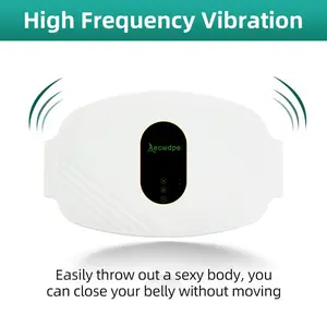 Household Vibration Massage Waist Belt