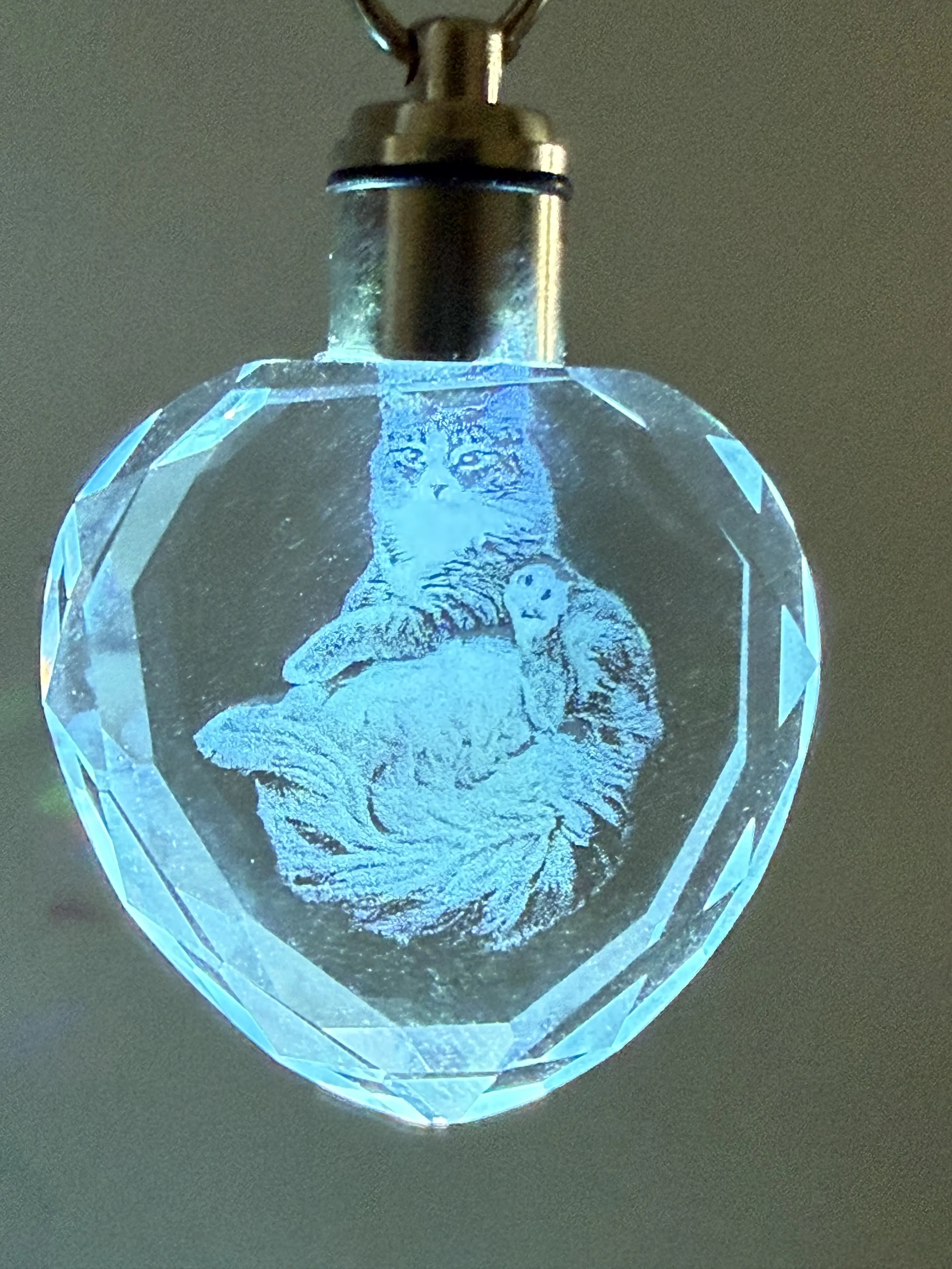 Custom 3D Photo Crystal LED Lighted Keychain, Personalized Engraved Pet Memorial Gift for Anniversaries