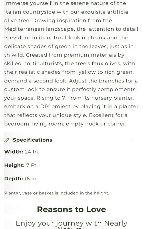 7' Artificial Olive Tree with Natural Trunk