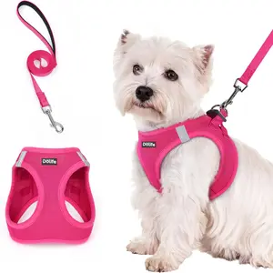 1pc Walk-In Dog Harness and Leash Set, Reflective Strip Harness, Breathable Mesh, Reflective, Soft Lightweight Pet Vest, Suitable for Small Dogs and Puppies