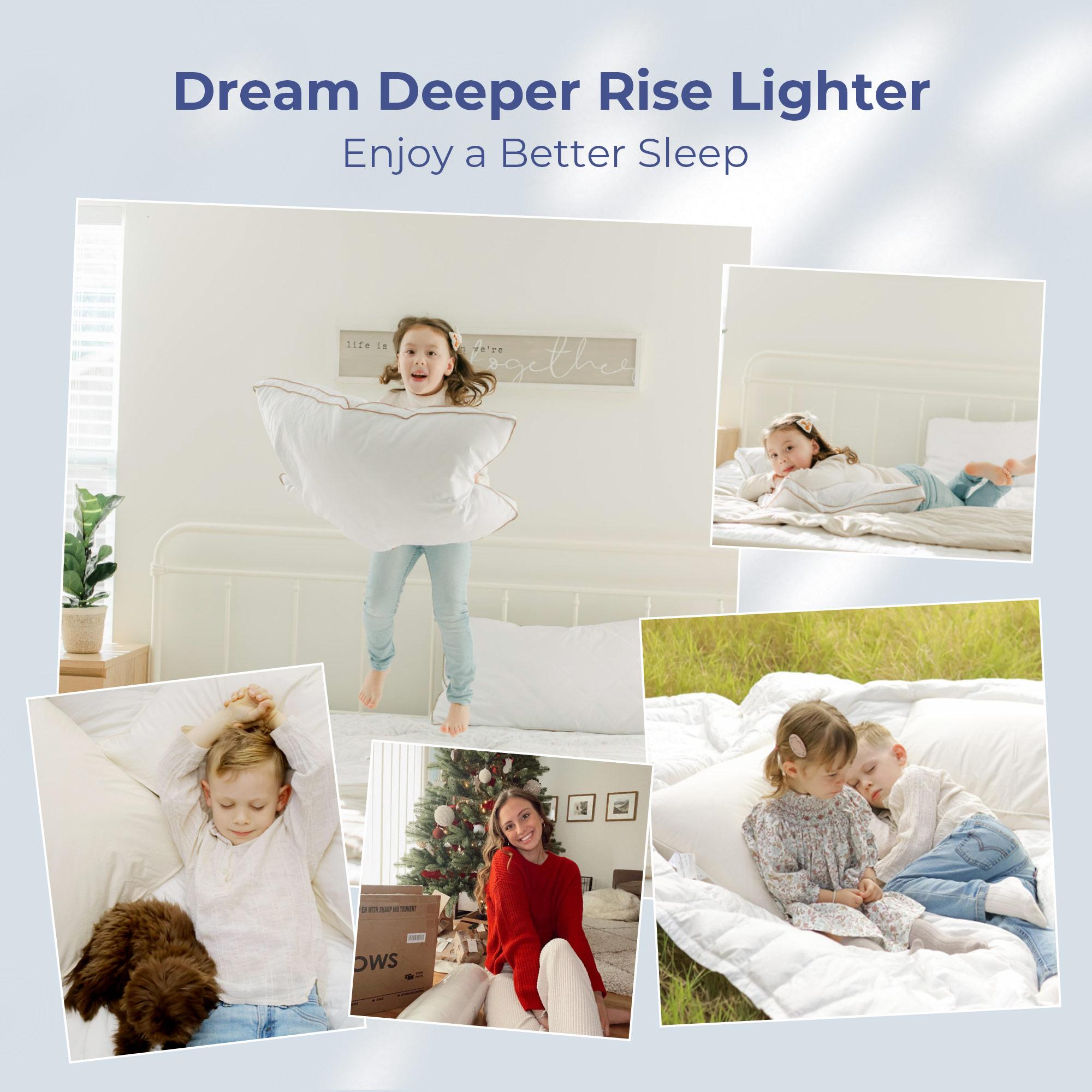 PEACE NEST 2 Pack Goose Down  Feather Pillows for Side  Back Sleepers Hotel Quality Cotton Cover Soft Pillows