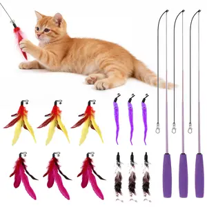 Interactive Cat Teaser Wand Toys, Vivid Bird Toys for Indoor Kittens, Cat Fishing Pole Toys, Natural Refills, Exercising, Playing, Summervibes