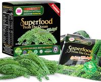 1.4 Ounce (Pack of 2)