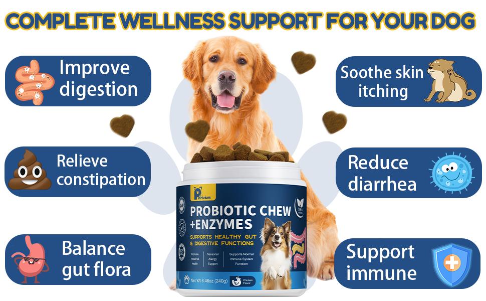 Probiotics for Dogs - Dogs Probiotics Chews with Enzymes & Fiber Blend Supports Gut Health, Boost Immune - Natural Probiotic Supplement for Digestive, Diarrhea, Gas, Constipation, Itchy Skin,120Ct