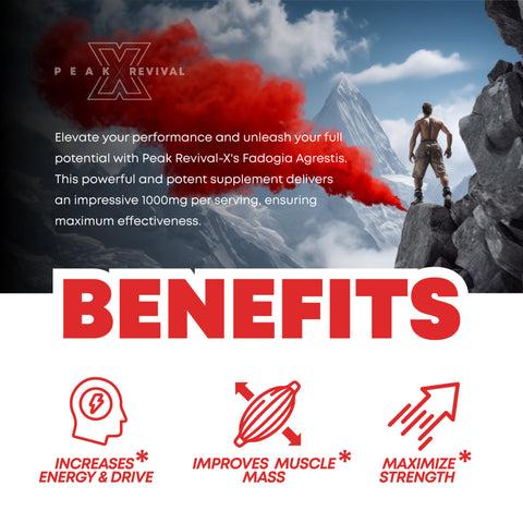 Peak Revival-X Fadogia Agrestis 1000mg – Natural Testosterone Support for Men | Muscle Growth, Strength & Energy | Vegan Capsules Peak Revival-X Fadogia Agrestis 1000mg – Natural Testosterone Support for Men | Muscle Growth, Strength & Energy | Vegan Capsules