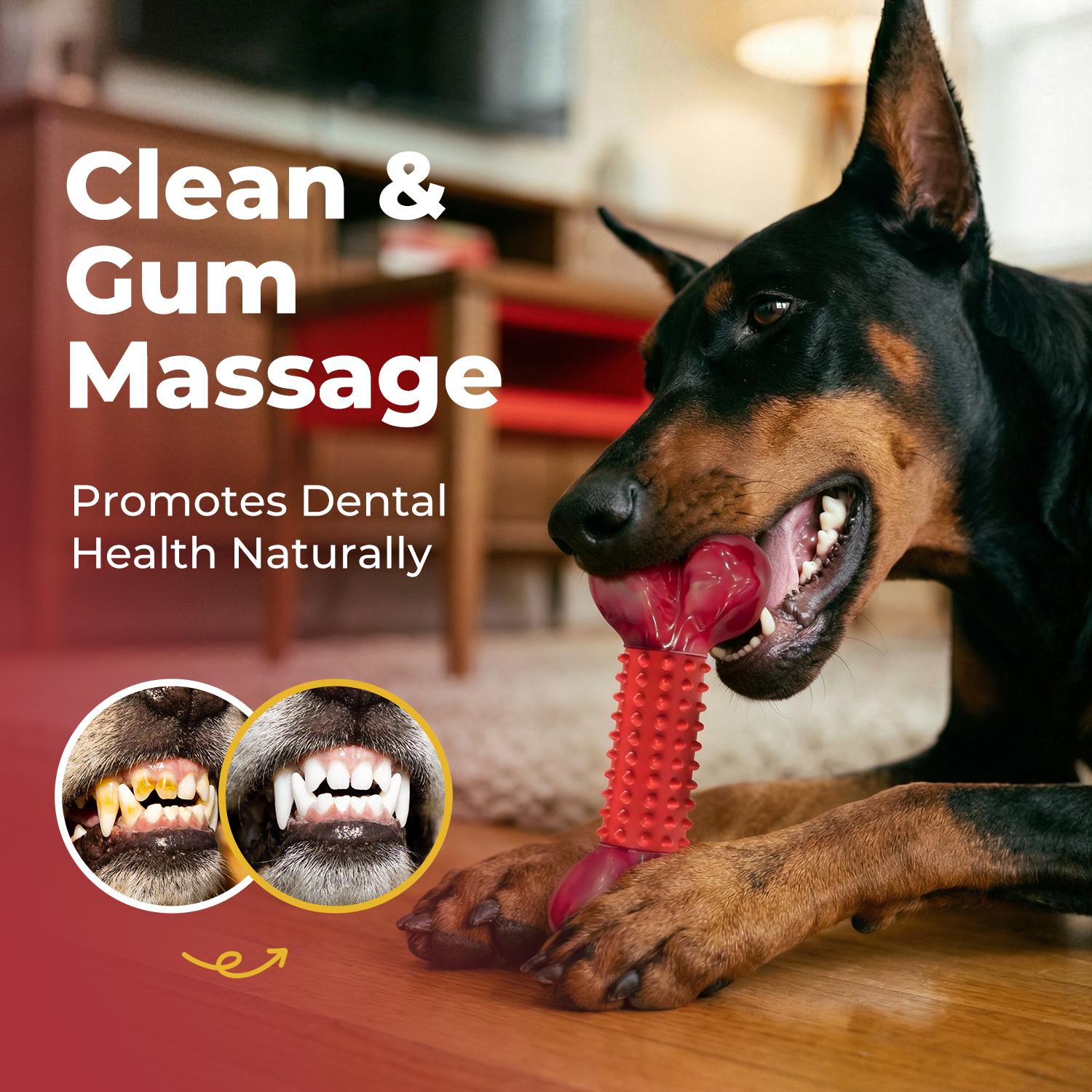 Durable Chew Toy for Strong Dogs, Sturdy Toy for Large Breeds, Indestructible Chew Toy, Interactive Dog Toy, Dog Teeth Grinding Toy, Large Dog Toy, Dog Birthday Toy