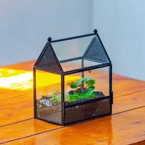 NCYP Small House Shaped Spider Enclosure Terrarium with Mesh, and Front Opening Door, Stainless Steel and Glass, Jumping Spider Small Insect Habitat, Terrarium Only