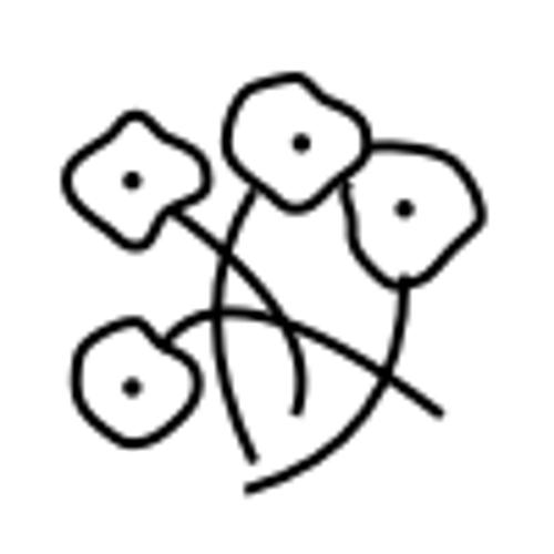 Disappearing Act Toner