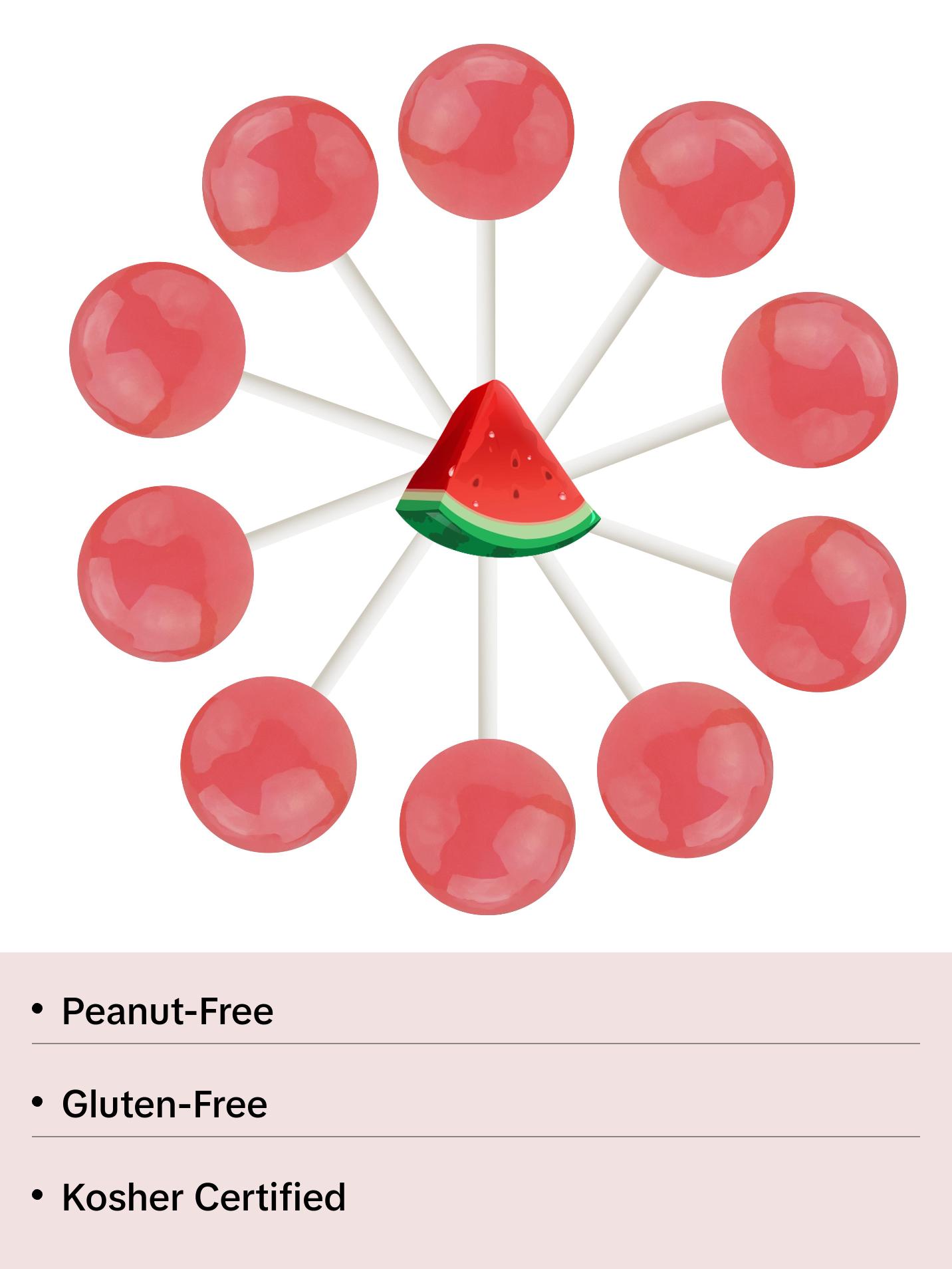 10ct. Watermelon Lollipop Bag