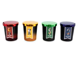 Harry Potter Hogwarts House Scented Soy Wax Candles | Set of 4