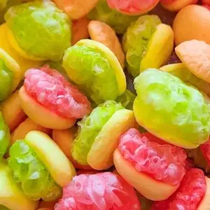 SweetyTreatyCo's Freeze Dried Gummy Hamburgers - Unique American Classic Snack Candy - Candies freeze  dried freeze dried candy