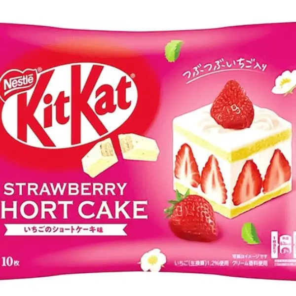 Kit Kat Japanese Chocolate Mini Bars