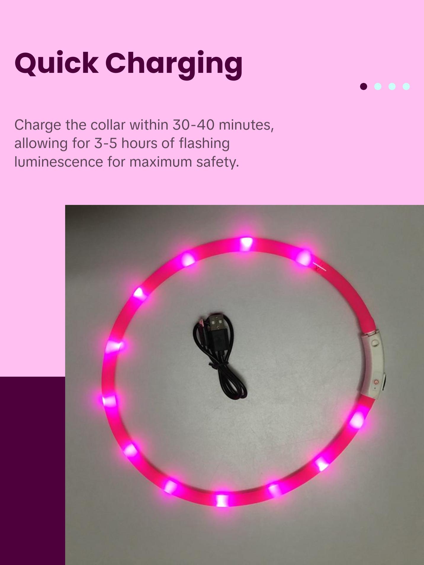 LED Glowing Dog Collar USB Charging Pet Dog Collar Night Luminous Dog Collars Rechargeable Night Safety Flashing Necklace Dog