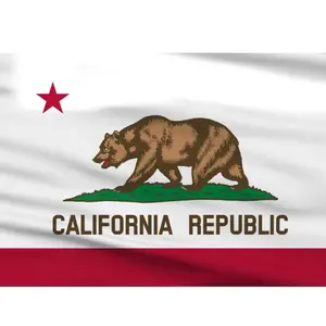 California Republic Outdoor Flag