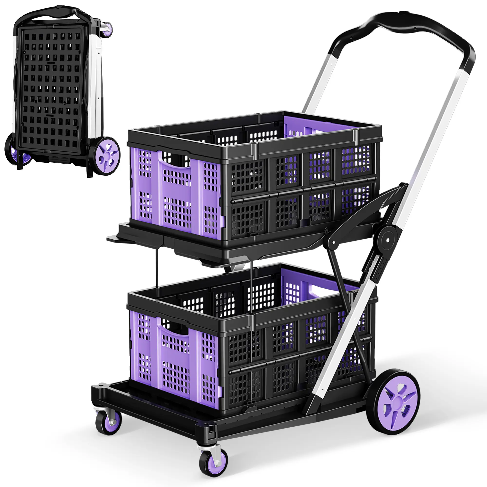 Purple- Double