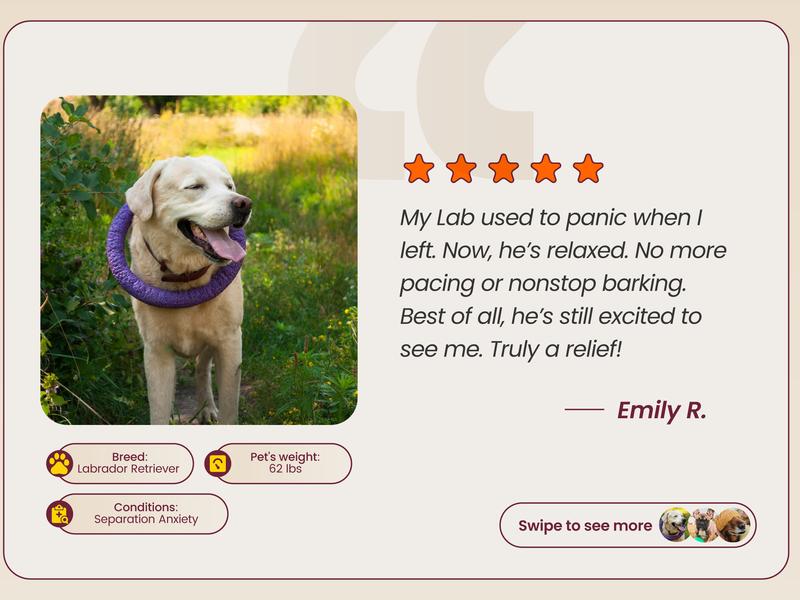 Boops Pets Calming Chews for Dogs – KSM-66 Ashwagandha, L-Theanine & Melatonin – Supports Relaxation & Calm Behavior – Great for Storms, Fireworks, Travel & Vet Visits – Turkey & Beef Flavor