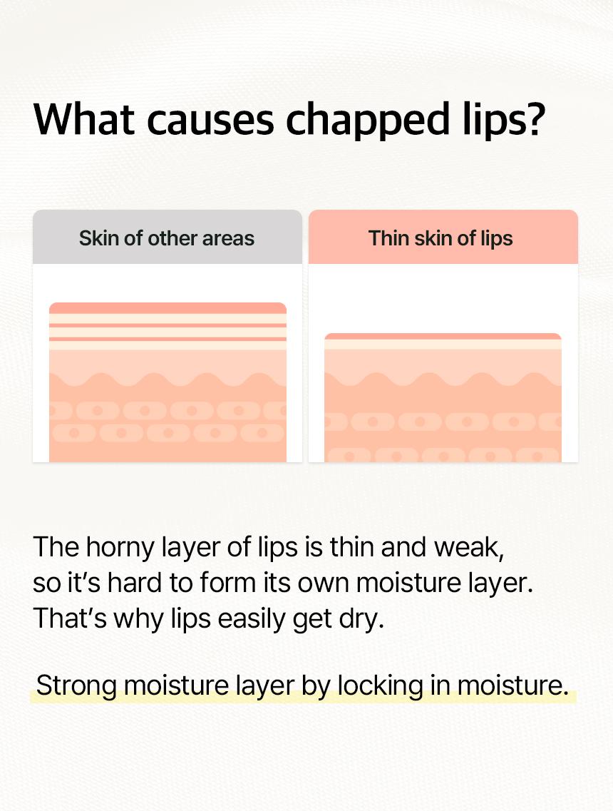 [mixsoon Official Shop] Natural Bean Lip Mask Balm - Lip Treatment for Dry Cracked Lips, Korean Skin Care