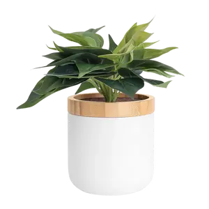 Tericota Hidden Storage Planter - Small Clutter Organizer