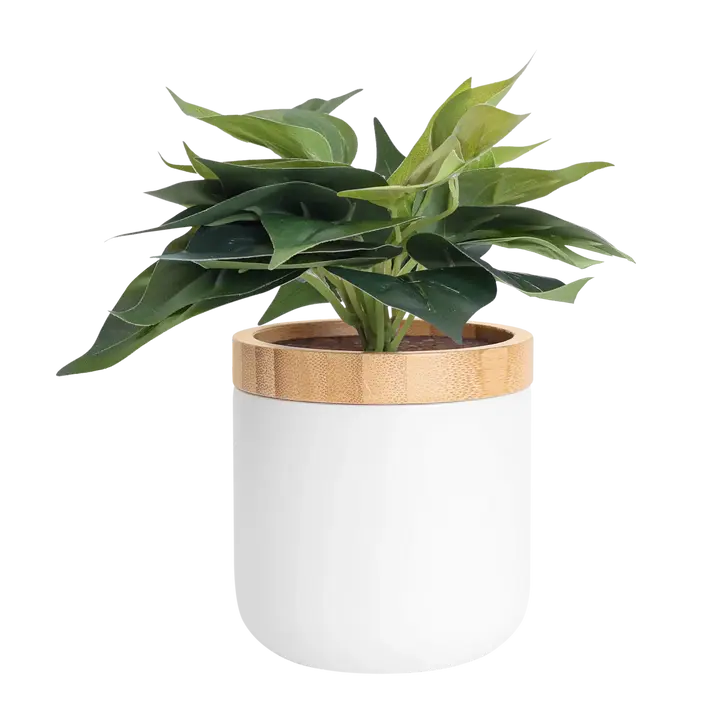 Tericota Hidden Storage Planter - Small Clutter Organizer