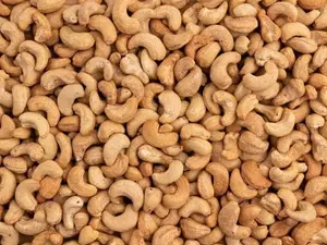 Premium Organic Roasted Cashews 1 lb | Crunchy & Fresh Cashew Nuts | High Protein Healthy Snack | Vegan, Gluten-Free Superfood for Energy, Snacking & Baking