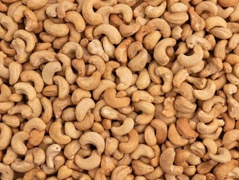 Organic Roasted Cashews 1lb | High Protein, Heart Healthy, Vegan & Gluten Free