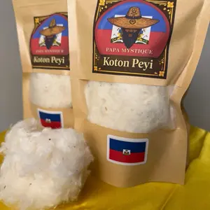 Koton Peyi- Papa Mystique Vodou Ayisen