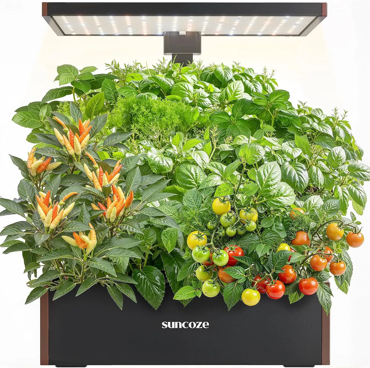 SUNCOZE Hydroponics Growing System Kit 20 Pods, Indoor Herb Garden with Grow Light 30W, 10L Large Water Tank with Adjustable Height, Built-in Pump, Gardening Gifts