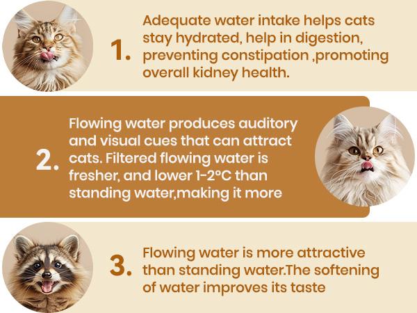 oneisall Cat Water Fountain with 3 Replacement Filters,304 Stainless Steel,  2L/67oz Automatic Water Fountain for Cats , Visual Water Level Window with LED,Gift for Pet